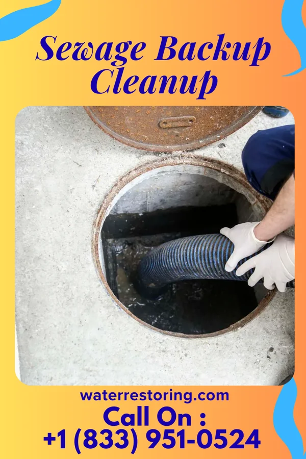 Sewage Backup Cleanup in Witches Woods, CT