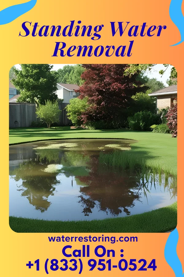 Standing Water Removal in Witches Woods, CT